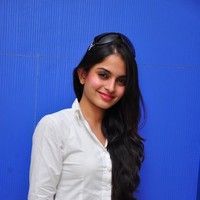 Sheena Shahabadi new pictures | Picture 45601